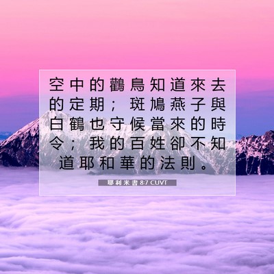 Picture 07 - 耶 利 米 書 8:7 CUVT - 空 中 的 鸛 鳥 知 道 來 去 的 定 期 - Bible Verse Picture