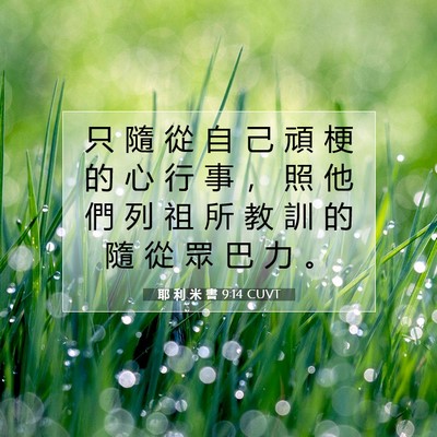 Picture 07 - 耶 利 米 書 9:14 CUVT - 只 隨 從 自 己 頑 梗 的 心 行 事 ， - Bible Verse Picture