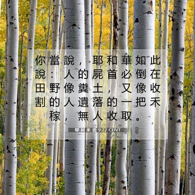 Picture 07 - 耶 利 米 書 9:22 CUVT - 你 當 說 ， 耶 和 華 如 此 說 ： 人 - Bible Verse Picture