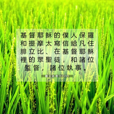 Picture 07 - 腓 立 比 書 1:1 CUVT - 基 督 耶 穌 的 僕 人 保 羅 和 提 摩 - Bible Verse Picture