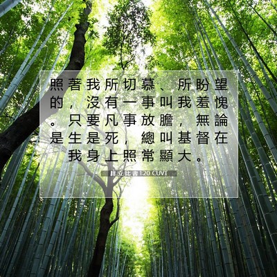 Picture 07 - 腓 立 比 書 1:20 CUVT - 照 著 我 所 切 慕 、 所 盼 望 的 ， - Bible Verse Picture