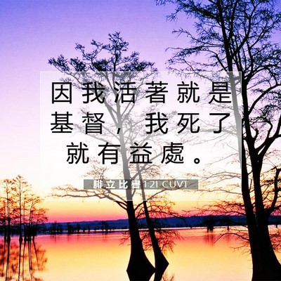 Picture 07 - 腓 立 比 書 1:21 CUVT - 因 我 活 著 就 是 基 督 ， 我 死 了 - Bible Verse Picture