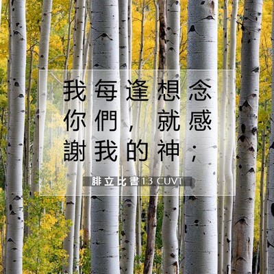 Picture 07 - 腓 立 比 書 1:3 CUVT - 我 每 逢 想 念 你 們 ， 就 感 謝 我 - Bible Verse Picture