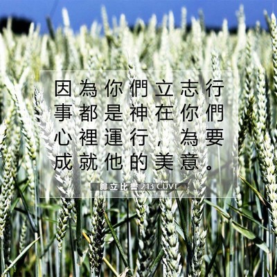 Picture 07 - 腓 立 比 書 2:13 CUVT - 因 為 你 們 立 志 行 事 都 是 神 在 - Bible Verse Picture