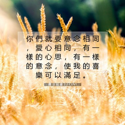 Picture 07 - 腓 立 比 書 2:2 CUVT - 你 們 就 要 意 念 相 同 ， 愛 心 相 - Bible Verse Picture