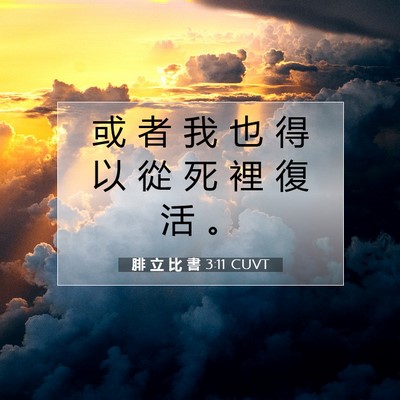 Picture 07 - 腓 立 比 書 3:11 CUVT - 或 者 我 也 得 以 從 死 裡 復 活 - Bible Verse Picture