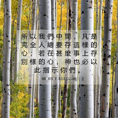 Picture 07 - 腓 立 比 書 3:15 CUVT - 所 以 我 們 中 間 ， 凡 是 完 全 人 - Bible Verse Picture