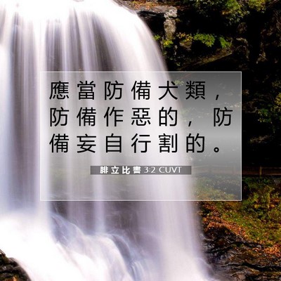 Picture 07 - 腓 立 比 書 3:2 CUVT - 應 當 防 備 犬 類 ， 防 備 作 惡 的 - Bible Verse Picture