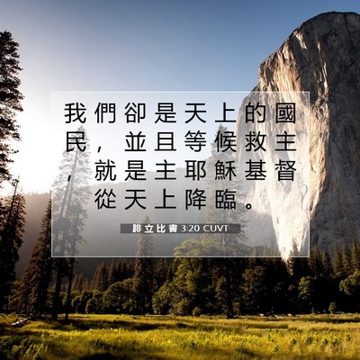 Picture 07 - 腓 立 比 書 3:20 CUVT - 我 們 卻 是 天 上 的 國 民 ， 並 且 - Bible Verse Picture