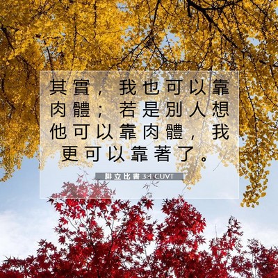 Picture 07 - 腓 立 比 書 3:4 CUVT - 其 實 ， 我 也 可 以 靠 肉 體 ； 若 - Bible Verse Picture