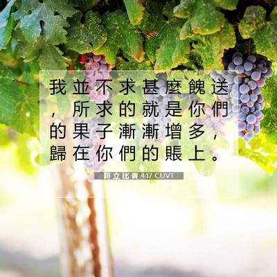 Picture 07 - 腓 立 比 書 4:17 CUVT - 我 並 不 求 甚 麼 餽 送 ， 所 求 的 - Bible Verse Picture