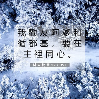 Picture 07 - 腓 立 比 書 4:2 CUVT - 我 勸 友 阿 爹 和 循 都 基 ， 要 在 - Bible Verse Picture