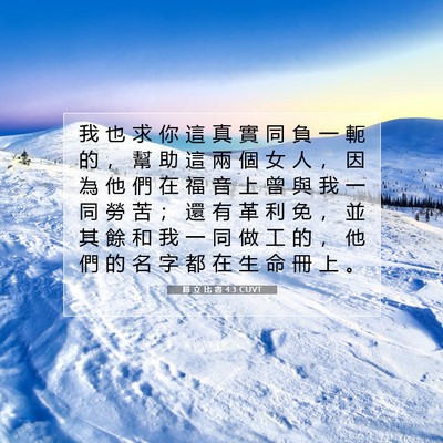 Picture 07 - 腓 立 比 書 4:3 CUVT - 我 也 求 你 這 真 實 同 負 一 軛 的 - Bible Verse Picture