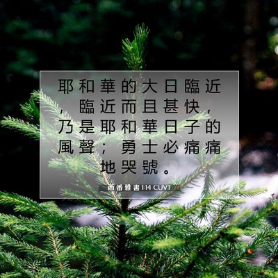 Picture 07 - 西 番 雅 書 1:14 CUVT - 耶 和 華 的 大 日 臨 近 ， 臨 近 而 - Bible Verse Picture