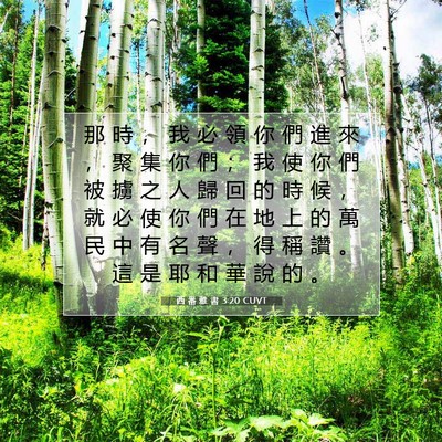Picture 07 - 西 番 雅 書 3:20 CUVT - 那 時 ， 我 必 領 你 們 進 來 ， 聚 - Bible Verse Picture