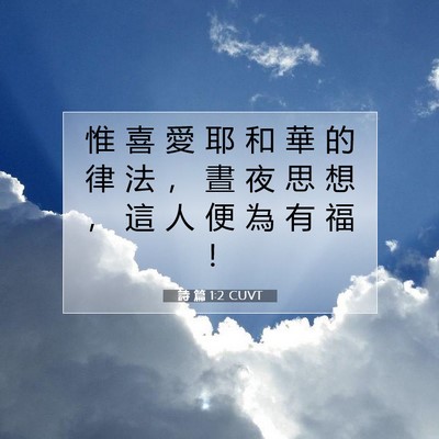 Picture 07 - 詩 篇 1:2 CUVT - 惟 喜 愛 耶 和 華 的 律 法 ， 晝 夜 - Bible Verse Picture