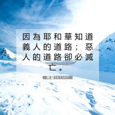 Picture 07 - 詩 篇 1:6 CUVT - 因 為 耶 和 華 知 道 義 人 的 道 路 - Bible Verse Picture