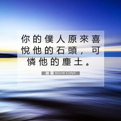 Picture 07 - 詩 篇 102:14 CUVT - 你 的 僕 人 原 來 喜 悅 他 的 石 頭 - Bible Verse Picture