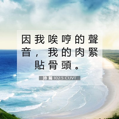 Picture 07 - 詩 篇 102:5 CUVT - 因 我 唉 哼 的 聲 音 ， 我 的 肉 緊 - Bible Verse Picture