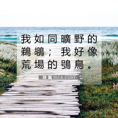 Picture 07 - 詩 篇 102:6 CUVT - 我 如 同 曠 野 的 鵜 鶘 ； 我 好 像 - Bible Verse Picture