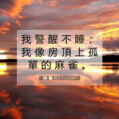 Picture 07 - 詩 篇 102:7 CUVT - 我 警 醒 不 睡 ； 我 像 房 頂 上 孤 - Bible Verse Picture