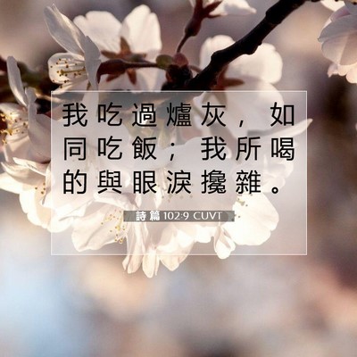 Picture 07 - 詩 篇 102:9 CUVT - 我 吃 過 爐 灰 ， 如 同 吃 飯 ； 我 - Bible Verse Picture