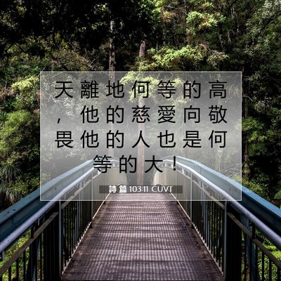Picture 07 - 詩 篇 103:11 CUVT - 天 離 地 何 等 的 高 ， 他 的 慈 愛 - Bible Verse Picture