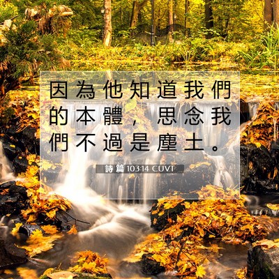 Picture 07 - 詩 篇 103:14 CUVT - 因 為 他 知 道 我 們 的 本 體 ， 思 - Bible Verse Picture