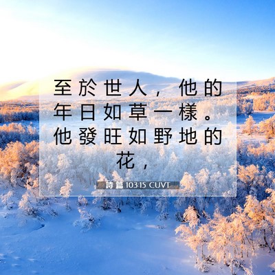 Picture 07 - 詩 篇 103:15 CUVT - 至 於 世 人 ， 他 的 年 日 如 草 一 - Bible Verse Picture