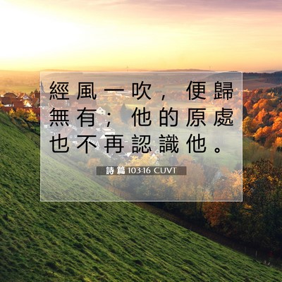 Picture 07 - 詩 篇 103:16 CUVT - 經 風 一 吹 ， 便 歸 無 有 ； 他 的 - Bible Verse Picture