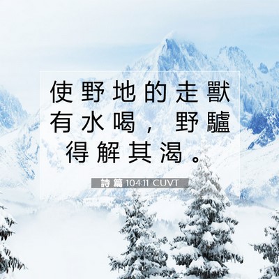 Picture 07 - 詩 篇 104:11 CUVT - 使 野 地 的 走 獸 有 水 喝 ， 野 驢 - Bible Verse Picture
