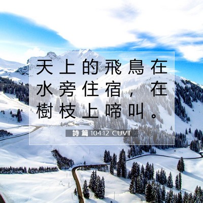 Picture 07 - 詩 篇 104:12 CUVT - 天 上 的 飛 鳥 在 水 旁 住 宿 ， 在 - Bible Verse Picture