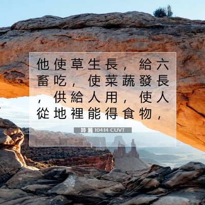 Picture 07 - 詩 篇 104:14 CUVT - 他 使 草 生 長 ， 給 六 畜 吃 ， 使 - Bible Verse Picture