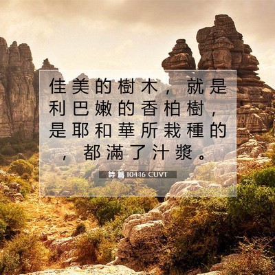 Picture 07 - 詩 篇 104:16 CUVT - 佳 美 的 樹 木 ， 就 是 利 巴 嫩 的 - Bible Verse Picture
