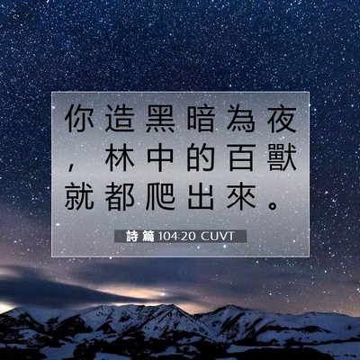 Picture 07 - 詩 篇 104:20 CUVT - 你 造 黑 暗 為 夜 ， 林 中 的 百 獸 - Bible Verse Picture