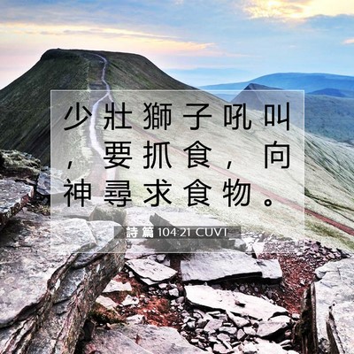 Picture 07 - 詩 篇 104:21 CUVT - 少 壯 獅 子 吼 叫 ， 要 抓 食 ， 向 - Bible Verse Picture