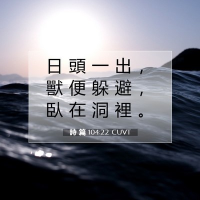 Picture 07 - 詩 篇 104:22 CUVT - 日 頭 一 出 ， 獸 便 躲 避 ， 臥 在 - Bible Verse Picture