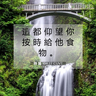 Picture 07 - 詩 篇 104:27 CUVT - 這 都 仰 望 你 按 時 給 他 食 物 - Bible Verse Picture