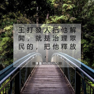 Picture 07 - 詩 篇 105:20 CUVT - 王 打 發 人 把 他 解 開 ， 就 是 治 - Bible Verse Picture