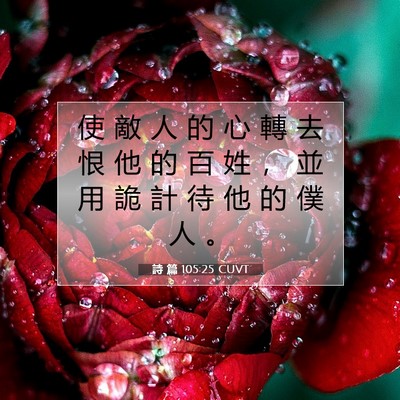 Picture 07 - 詩 篇 105:25 CUVT - 使 敵 人 的 心 轉 去 恨 他 的 百 姓 - Bible Verse Picture