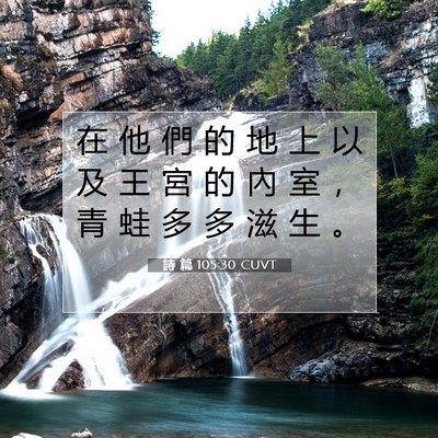 Picture 07 - 詩 篇 105:30 CUVT - 在 他 們 的 地 上 以 及 王 宮 的 內 - Bible Verse Picture
