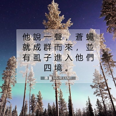Picture 07 - 詩 篇 105:31 CUVT - 他 說 一 聲 ， 蒼 蠅 就 成 群 而 來 - Bible Verse Picture