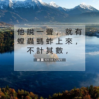 Picture 07 - 詩 篇 105:34 CUVT - 他 說 一 聲 ， 就 有 蝗 蟲 螞 蚱 上 - Bible Verse Picture