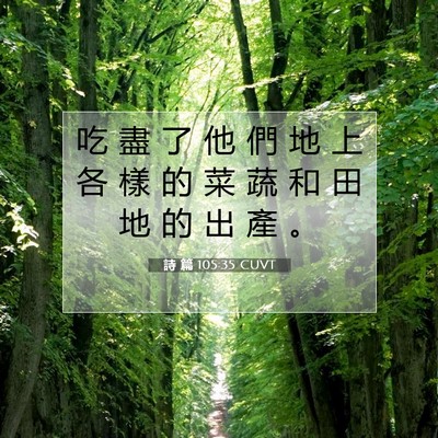 Picture 07 - 詩 篇 105:35 CUVT - 吃 盡 了 他 們 地 上 各 樣 的 菜 蔬 - Bible Verse Picture