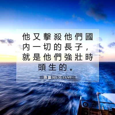 Picture 07 - 詩 篇 105:36 CUVT - 他 又 擊 殺 他 們 國 內 一 切 的 長 - Bible Verse Picture