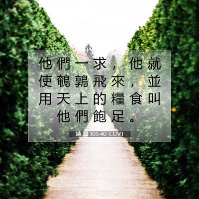 Picture 07 - 詩 篇 105:40 CUVT - 他 們 一 求 ， 他 就 使 鵪 鶉 飛 來 - Bible Verse Picture