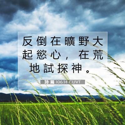 Picture 07 - 詩 篇 106:14 CUVT - 反 倒 在 曠 野 大 起 慾 心 ， 在 荒 - Bible Verse Picture