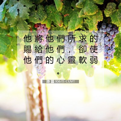 Picture 07 - 詩 篇 106:15 CUVT - 他 將 他 們 所 求 的 賜 給 他 們 ， - Bible Verse Picture