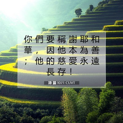 Picture 07 - 詩 篇 107:1 CUVT - 你 們 要 稱 謝 耶 和 華 ， 因 他 本 - Bible Verse Picture