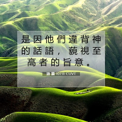 Picture 07 - 詩 篇 107:11 CUVT - 是 因 他 們 違 背 神 的 話 語 ， 藐 - Bible Verse Picture